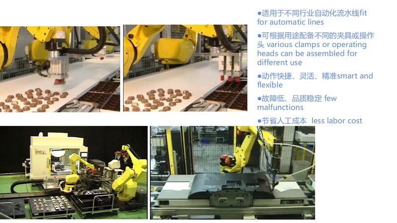 小型食品自动化生产线：价格背后的考量因素**